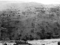 boer War 427Boer Military A4 Photo Print