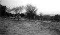 boer War 464Boer Military A4 Photo Print