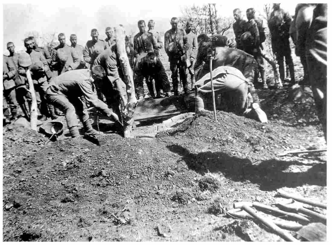 boer War 501Boer Military A4 Photo Print