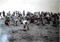 boer War 507Boer Military A4 Photo Print