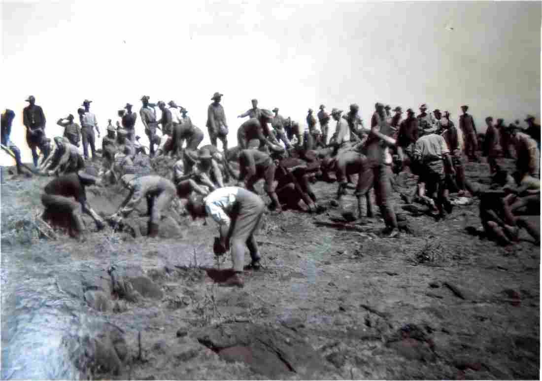 boer War 507Boer Military A4 Photo Print