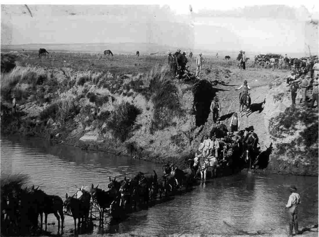 boer War 514Boer Military A4 Photo Print