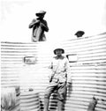 boer War 522Boer Military A4 Photo Print