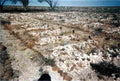 boer War 570Boer Military A4 Photo Print