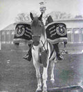 boer War 575Boer Military A4 Photo Print