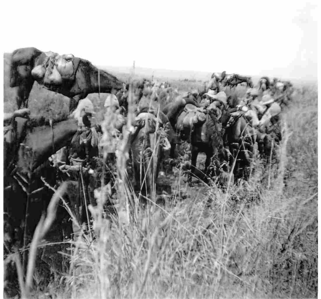 boer War 587Boer Military A4 Photo Print