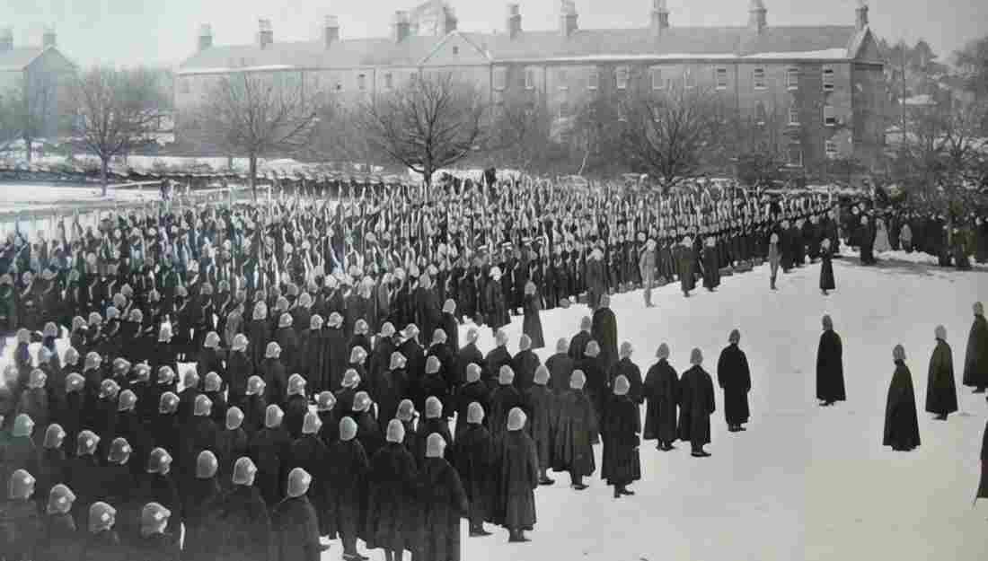 boer War 596Boer Military A4 Photo Print