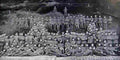 boer War 659Boer Military A4 Photo Print