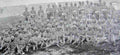 boer War 719Boer Military A4 Photo Print