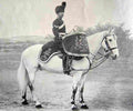 boer War 86Boer Military A4 Photo Print