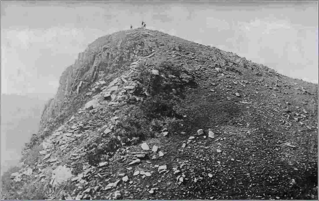 boer War 907Boer Military A4 Photo Print