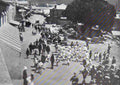 boer War 911Boer Military A4 Photo Print