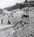 boer War 915Boer Military A4 Photo Print