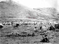 boer war 107Boer Military A4 Photo Print