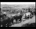 boer war 1171Boer Military A4 Photo Print