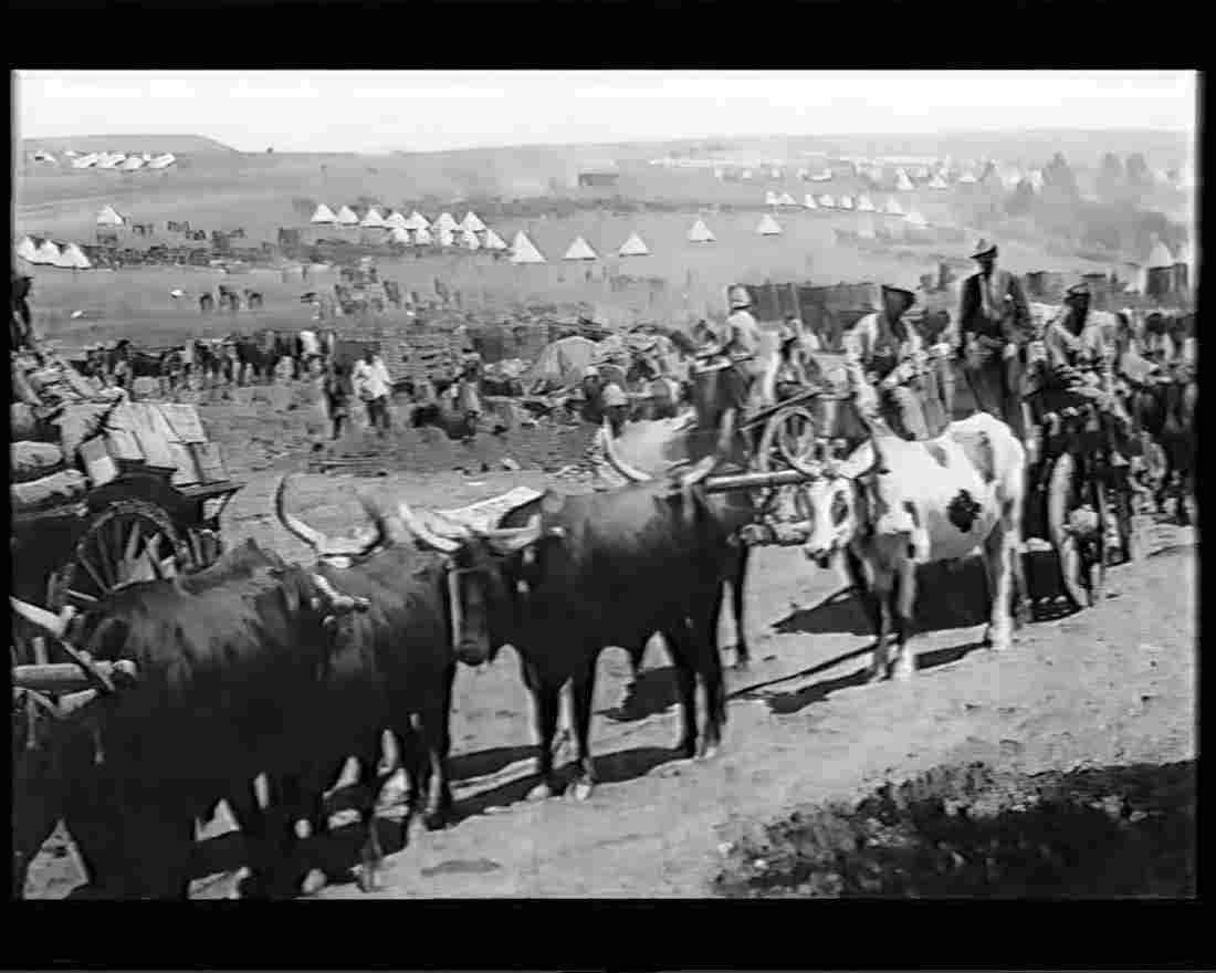 boer war 1171Boer Military A4 Photo Print