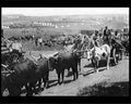 boer war 1172Boer Military A4 Photo Print