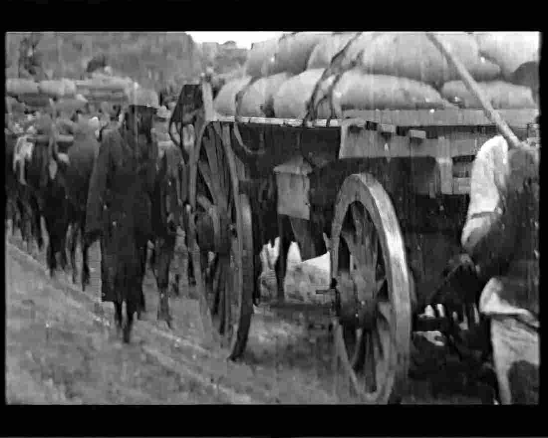 boer war 1174Boer Military A4 Photo Print