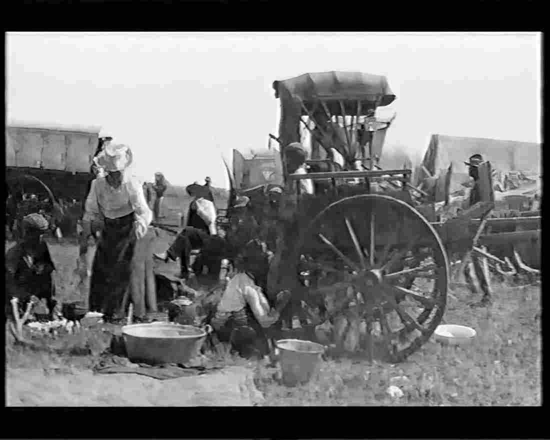 boer war 1182Boer Military A4 Photo Print