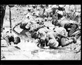 boer war 1191Boer Military A4 Photo Print