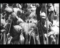 boer war 1192Boer Military A4 Photo Print