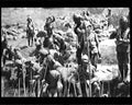 boer war 1193Boer Military A4 Photo Print