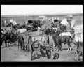boer war 1207Boer Military A4 Photo Print