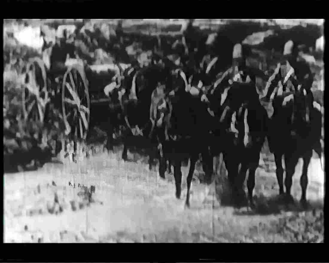 boer war 1220Boer Military A4 Photo Print