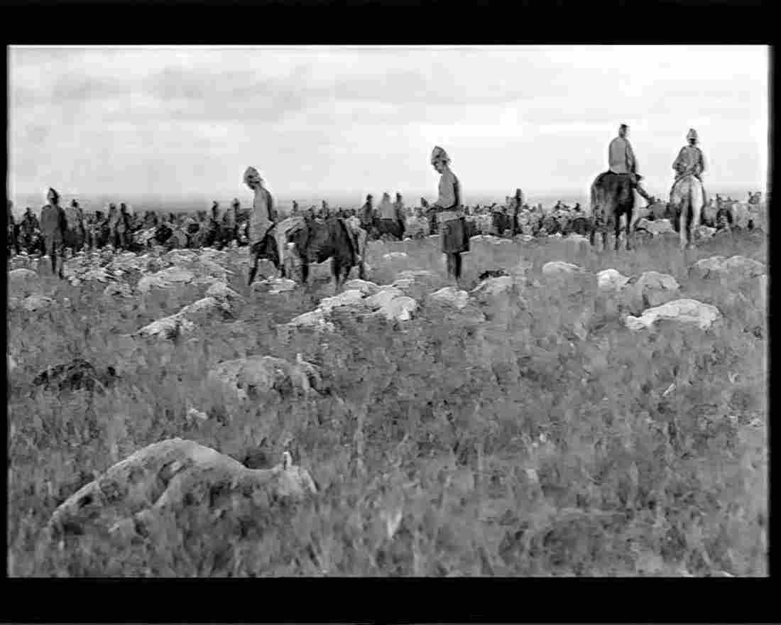 boer war 1249Boer Military A4 Photo Print