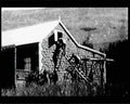 boer war 1250Boer Military A4 Photo Print