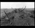 boer war 1255Boer Military A4 Photo Print