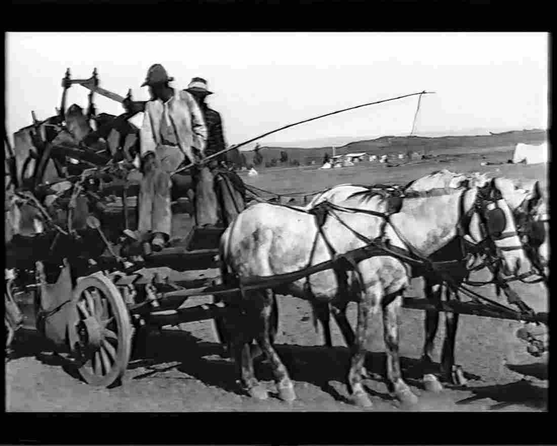 boer war 1258Boer Military A4 Photo Print