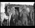 boer war 1261Boer Military A4 Photo Print