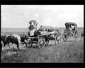 boer war 1268Boer Military A4 Photo Print