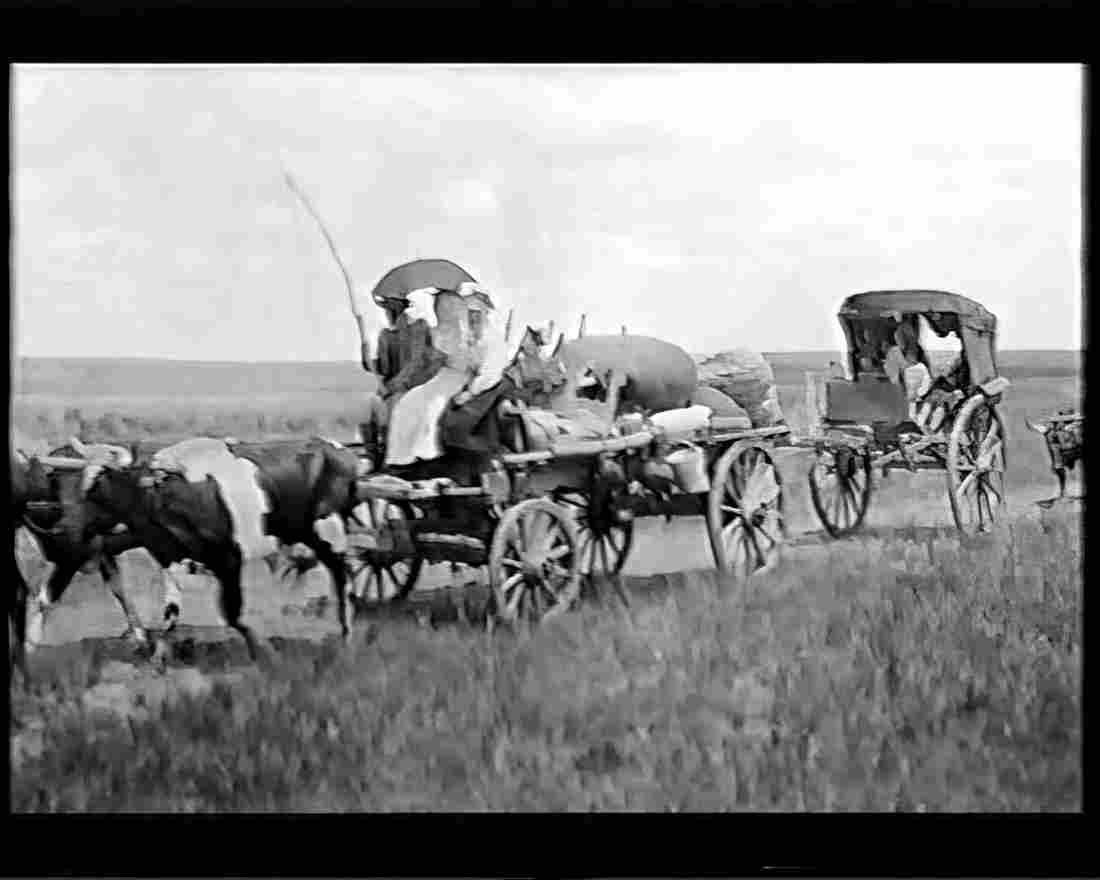 boer war 1268Boer Military A4 Photo Print