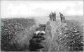 boer war 128Boer Military A4 Photo Print