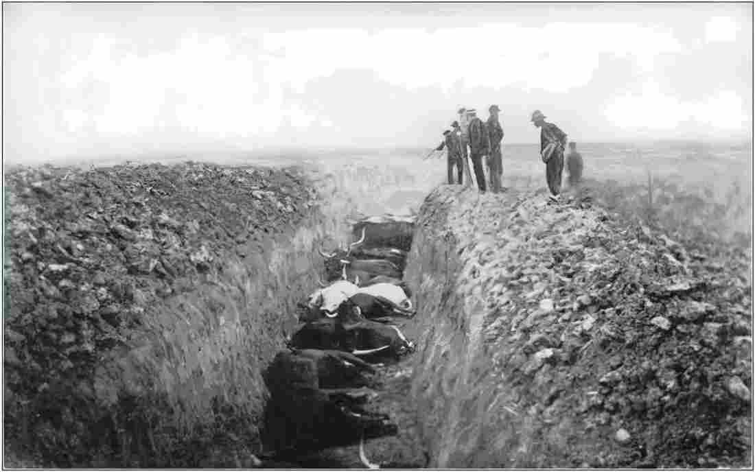 boer war 128Boer Military A4 Photo Print
