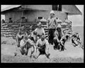 boer war 1304Boer Military A4 Photo Print