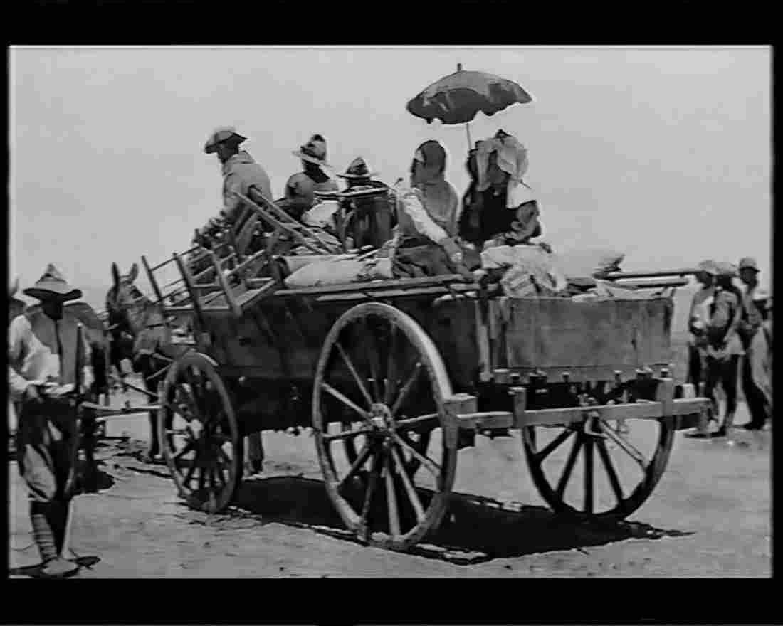 boer war 1319Boer Military A4 Photo Print