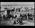 boer war 1335Boer Military A4 Photo Print