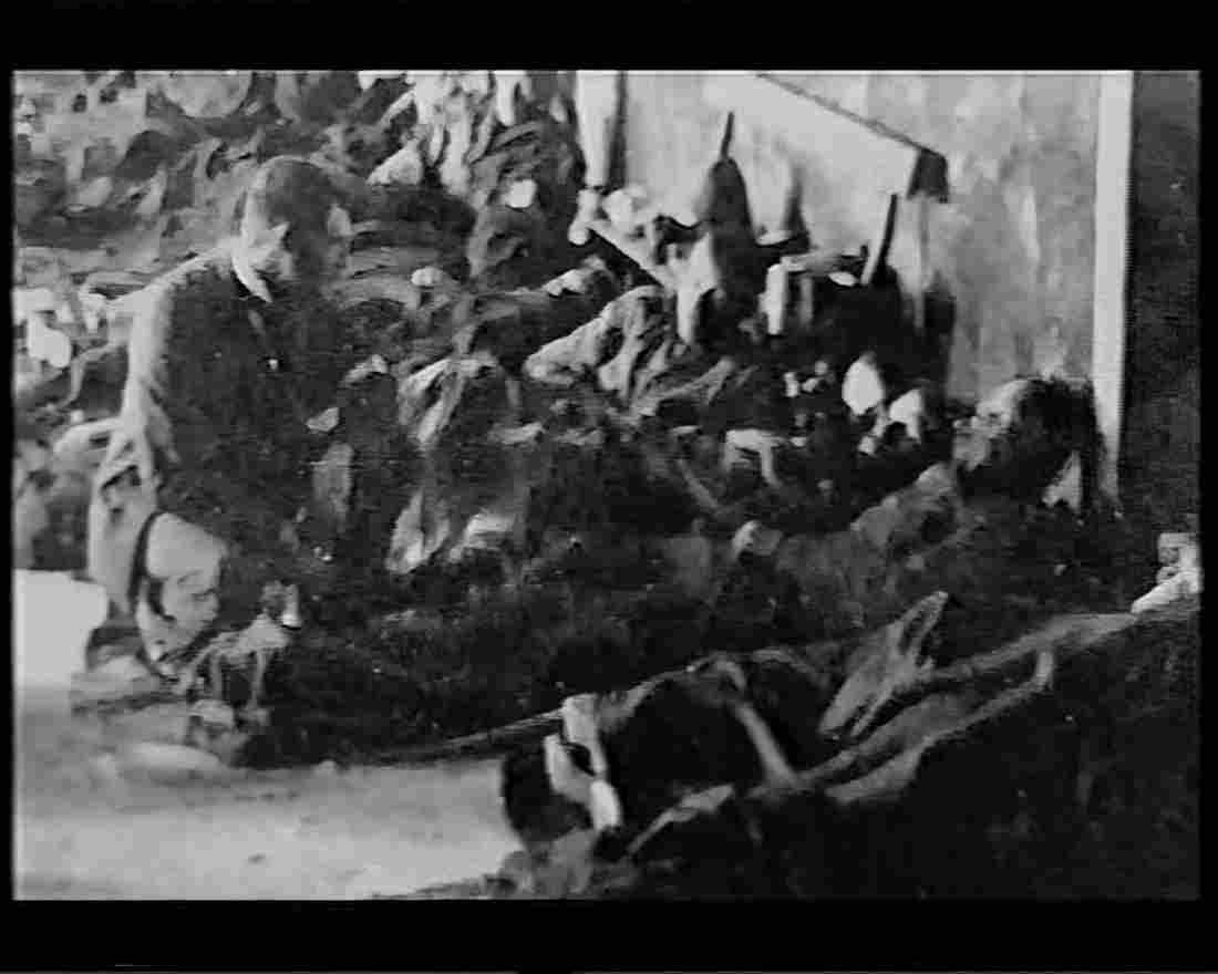 boer war 1354Boer Military A4 Photo Print