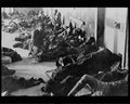 boer war 1355Boer Military A4 Photo Print