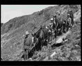 boer war 1393Boer Military A4 Photo Print