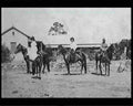 boer war 1397Boer Military A4 Photo Print