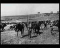 boer war 1408Boer Military A4 Photo Print