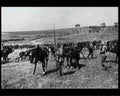 boer war 1409Boer Military A4 Photo Print