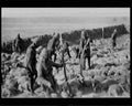 boer war 1493Boer Military A4 Photo Print