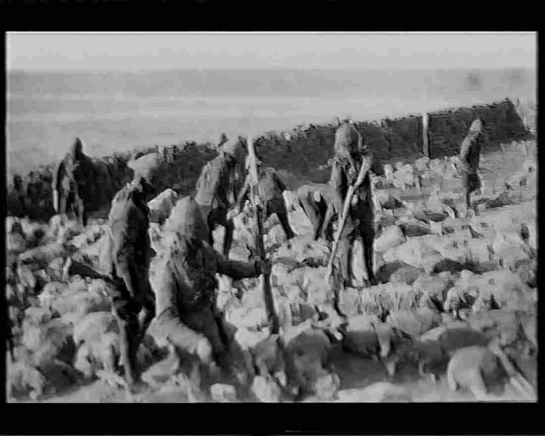 boer war 1493Boer Military A4 Photo Print