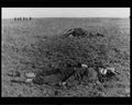 boer war 1497Boer Military A4 Photo Print