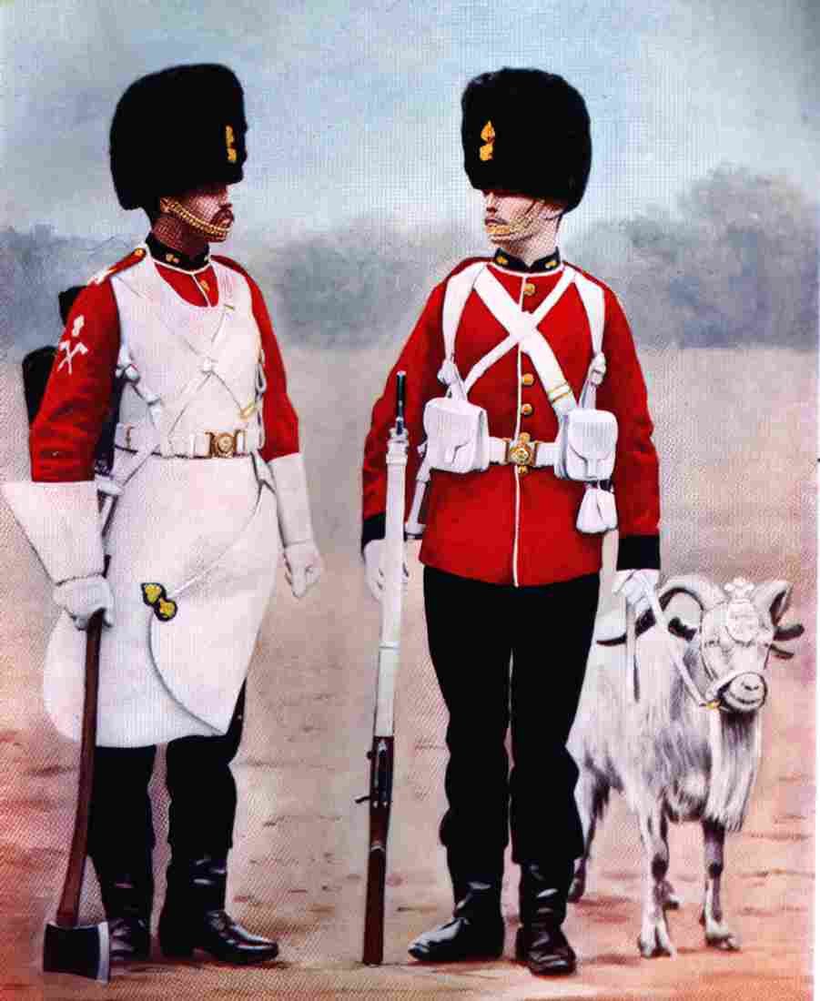 boer war 149Boer Military A4 Photo Print